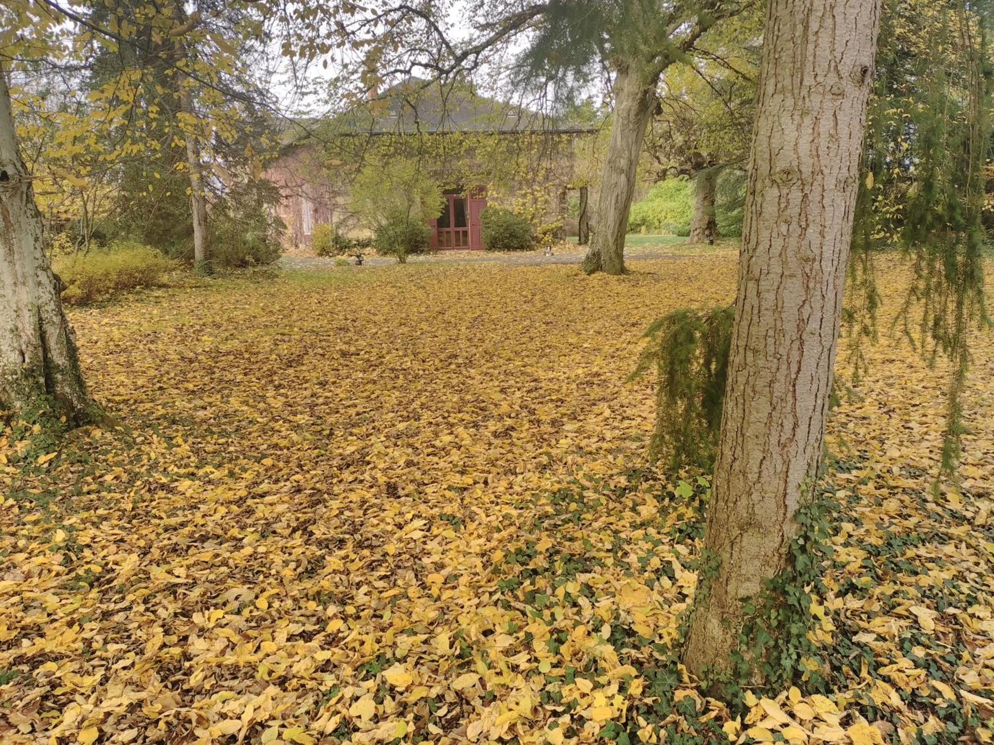 La Passagere Bed and Breakfast Hauterive  Exteriör bild
