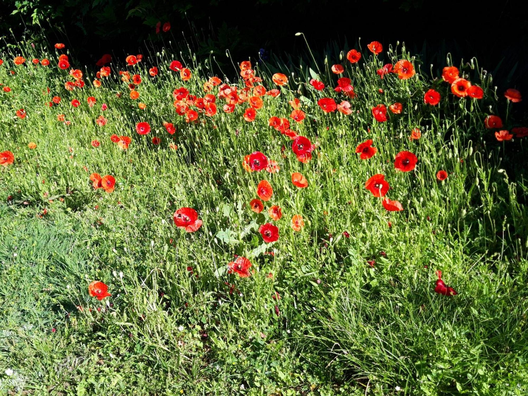 La Passagere Bed and Breakfast Hauterive  Exteriör bild
